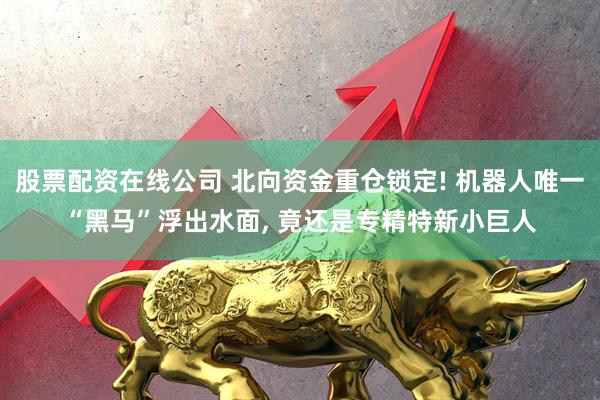 股票配资在线公司 北向资金重仓锁定! 机器人唯一“黑马”浮出水面, 竟还是专精特新小巨人